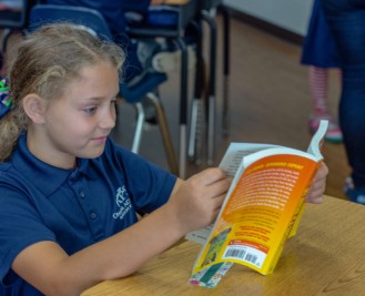 Elementary Programs